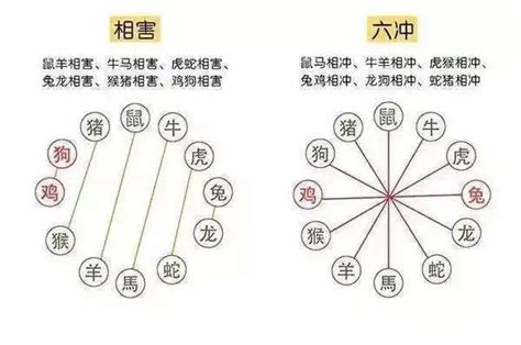 五行穿著|今日五行穿衣查询